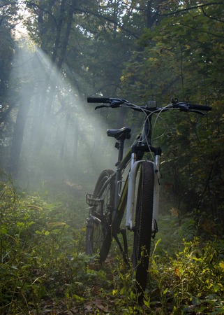 Mountain bike in the forest is sundered by a ray close upの写真素材