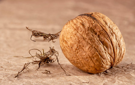 Walnut, in the shell, against the background of yellow paper, close-up