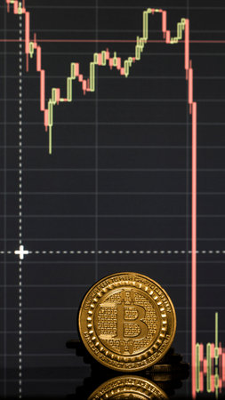 Bitcoin coin on the background graphics close up
