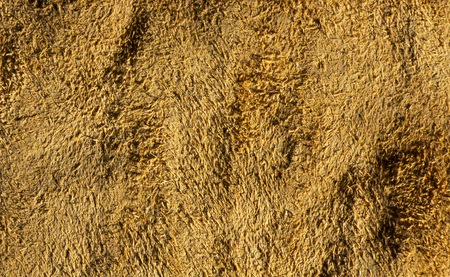 Yellow skin texture. Natural, environmentally friendly material close upの写真素材