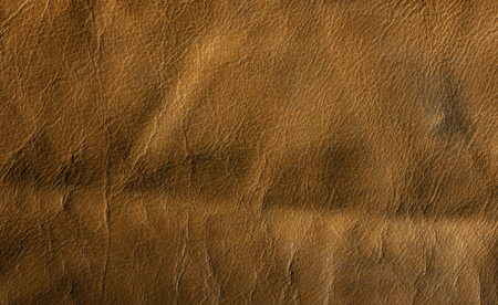 Yellow skin texture. Natural, environmentally friendly material close upの写真素材