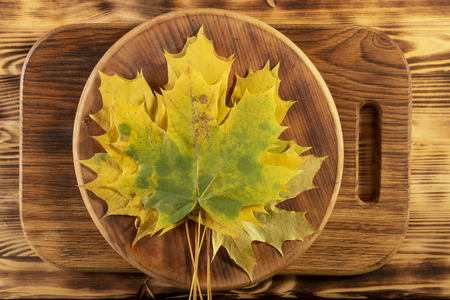 Autumn maple leaves on gray wooden background close upの写真素材