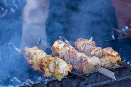 Street food, grilled meat on a spit. Homemade. Close up