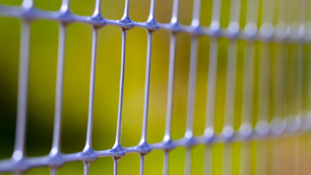 Green old metal mesh with selective focus. Close-up, abstract image.の写真素材