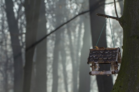 Feeder for birds in the form of a house, with a roof wooden imitation tiles Close upの写真素材