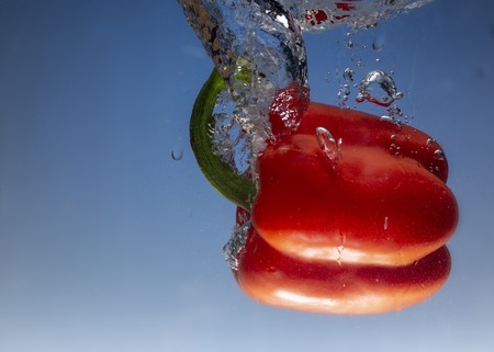 fresh water splash on red sweet pepper on blue background close upの写真素材