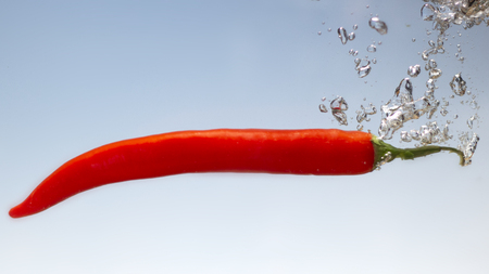 red chilli in water splashes on blue bacground close upの写真素材