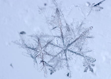 Beautiful snow flake on light blue background close-upの写真素材