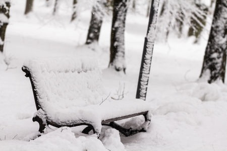Snow on bench in park of Winter conceptの写真素材