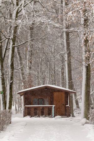 Small house in a small deciduous forest background