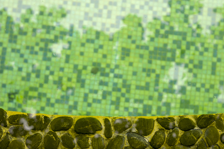 The water in the pool is rotten.の写真素材