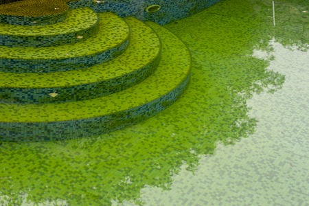 The water in the pool is rotten.の写真素材