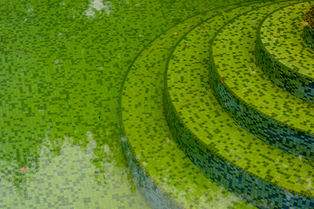 The water in the pool is rotten.の写真素材