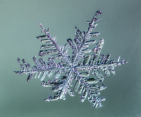 Beautiful snow flake on light blue background close-upの写真素材