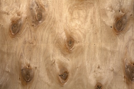 plywood texture with pattern natural, wood grain for background.の写真素材