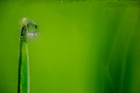Water droplets on a window pane with beautiful defocused scenery outside. Backgroundの写真素材