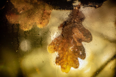 Water droplets on a window pane with beautiful defocused scenery outside. Backgroundの写真素材