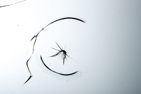 Cracked glass on a white background close up