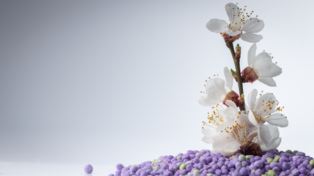 Flower growing from mineral fertilizers. Concept background.の写真素材