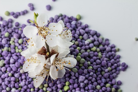 Flower growing from mineral fertilizers. Concept background.の写真素材