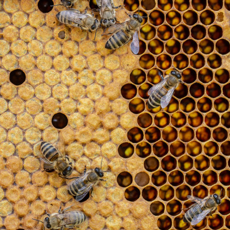 The concept of beekeeping, the texture of a honeycomb cell, on which the bees move and work. back...