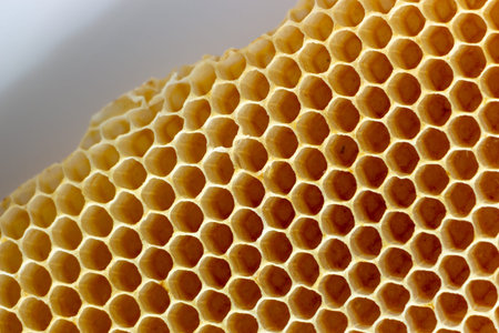 The close up texture of empty wax honeycombs built by bees, without human involvement