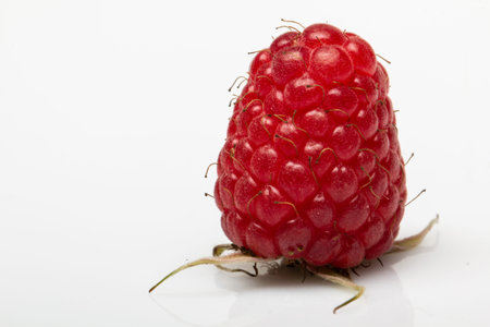One ripe beautiful raspberry berry on a white background close up