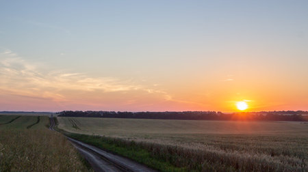 Wheat field with blue sky with sun and clouds against the backdrop, landspace