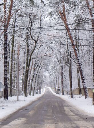 Snow-covered rural street, beautiful winter landscape, in cloudy weather backgroundの写真素材