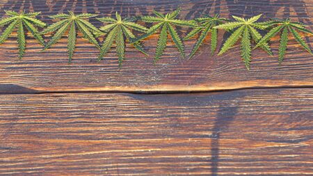 A hemp leaf on a wooden texture background close upの写真素材