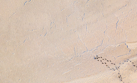 Salt texture of the desert. View from the drone to the salt lake Tuzla, near the Rybakivka resort,...