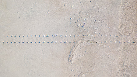 Salt texture of the desert. View from the drone to the salt lake Tuzla, near the Rybakivka resort,...
