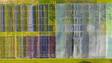 Aero photo of nursery of decorative plants for landscape designの写真素材