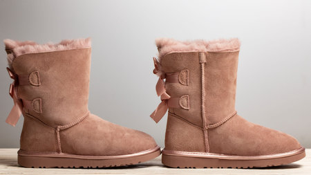 Winter brown felt boots with leather, with bows on a freebie on a white background.