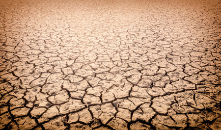 The impact of global warming on sun-cracked soil and the loss of all fauna and flora.