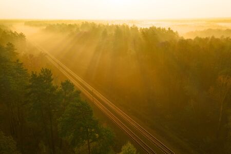 The railway runs through the autumn forest. The rays of the morning sun cut through the fog.の写真素材