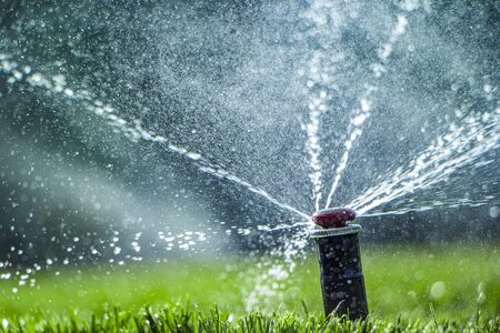 automatic sprinkler system watering the lawn close-upの写真素材