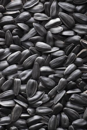 Element for design, or natural texture. Sunflower seeds kind of faded, natural background.の写真素材