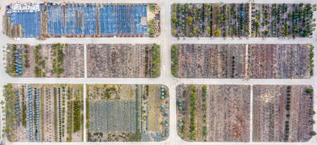 Large nursery with a good range of ornamental plants, for use in landscaping.の写真素材