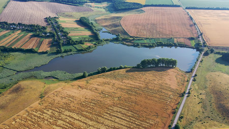 Summer landscape. Wheat harvest time. Aerial view of the grasslands, and a small lake with forest...