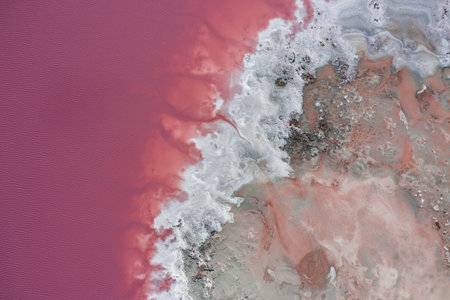 White salt on the shores of the island in Pink Island. Lake Lemuria, Ukraine.