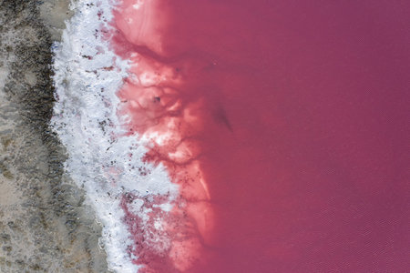 Top view of the salt-covered shore of Pink Lake.