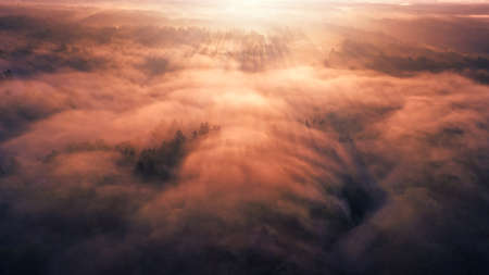 Malvonic autumn morning landscape. Sun rays long shadows and morning fog over the forest.の写真素材