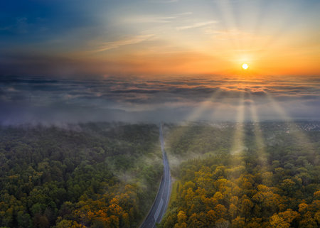 Malvonic autumn morning landscape. Sun rays long shadows and morning fog over the forest.の写真素材