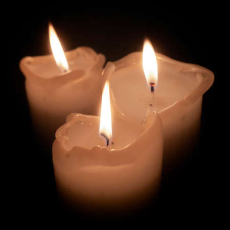 Gray dove alone walks on asphalt, loneliness concept. Selective focus. shallow depth of field.の写真素材