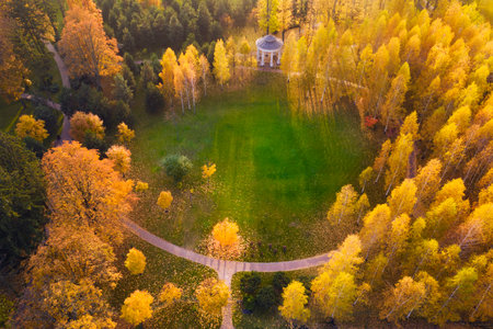 The meadow is surrounded by yellow and green trees, autumn landscape. Drone view.の写真素材