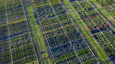 Shop with a wide range of ornamental plants for landscaping. Drone view. Large assortment of coniferous, deciduous and flowering plants.の写真素材