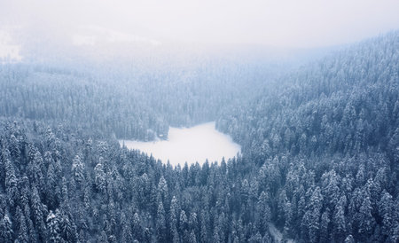 Aerial view of the winter mountain lake Synevyr
