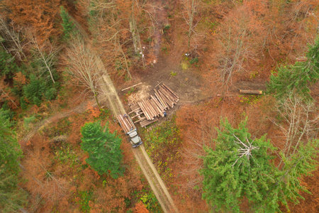 Illegal deforestation, surveillance from a drone people load tree trunks on a truck.