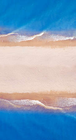 Decorative hornbeam on the lawn. Against the background of blue sky. Element of landscape design.の写真素材